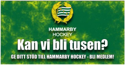 Tabeller Statistik Mm Hammarby Hockey